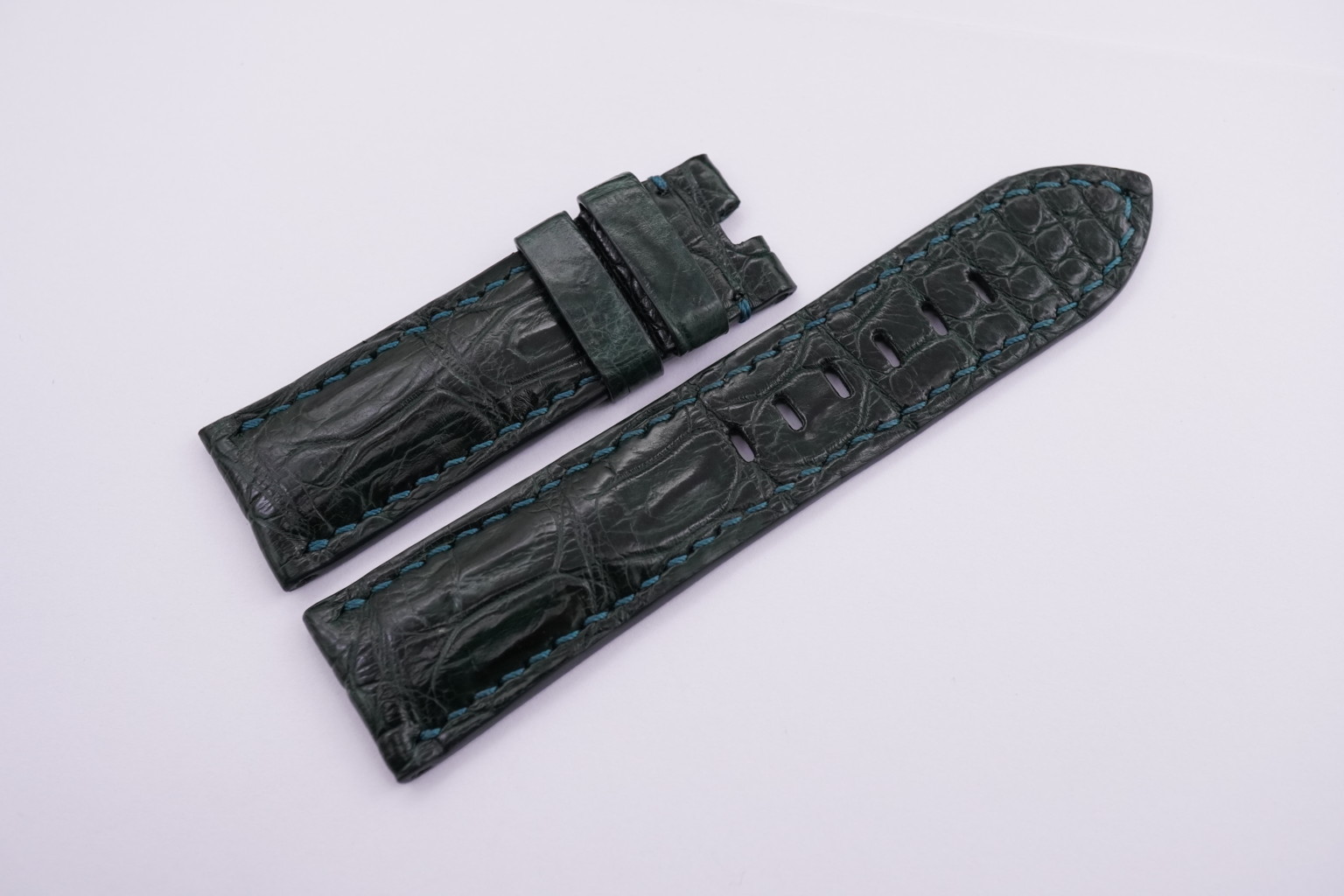 DSC09886 (FILEminimizer)