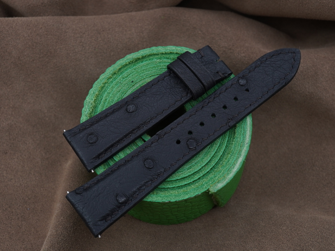 DSC08999 (FILEminimizer)