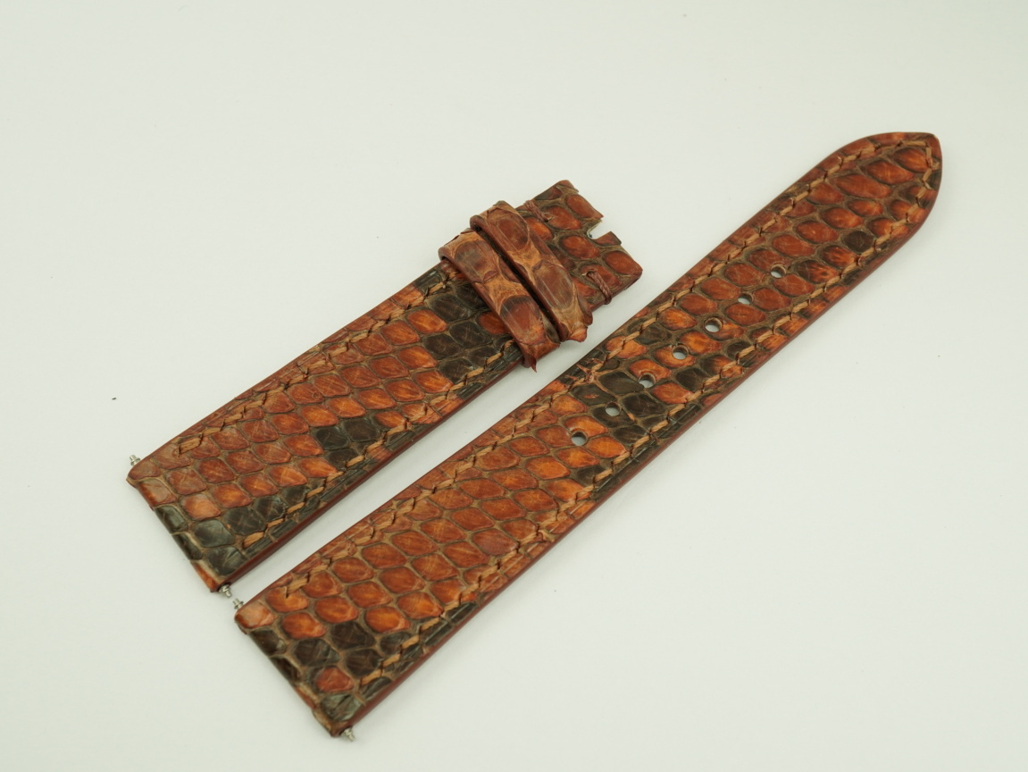 DSC09081 (FILEminimizer)