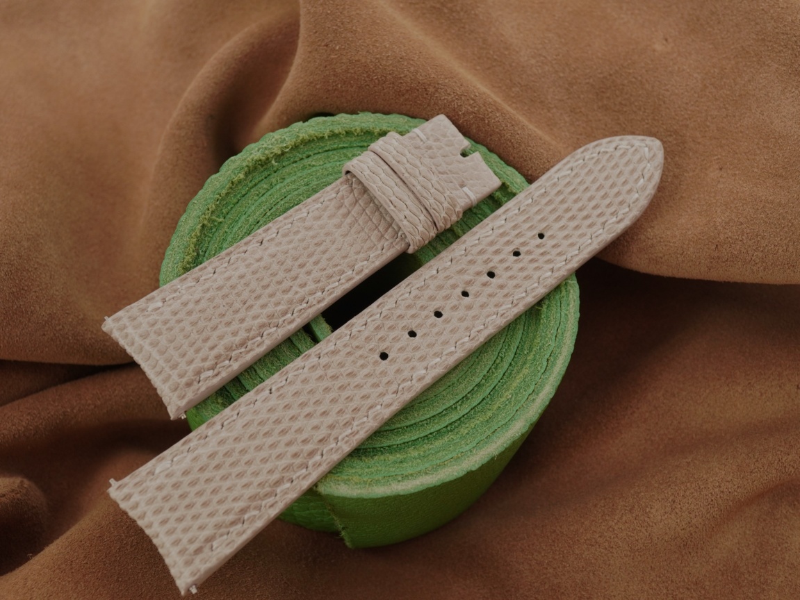 DSC09291 (FILEminimizer)