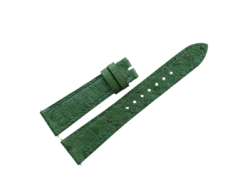 20mm/16mm Green Genuine Ostrich Quill Skin Leather Watch Strap With Quick Release Function 120/70mm #WT14482