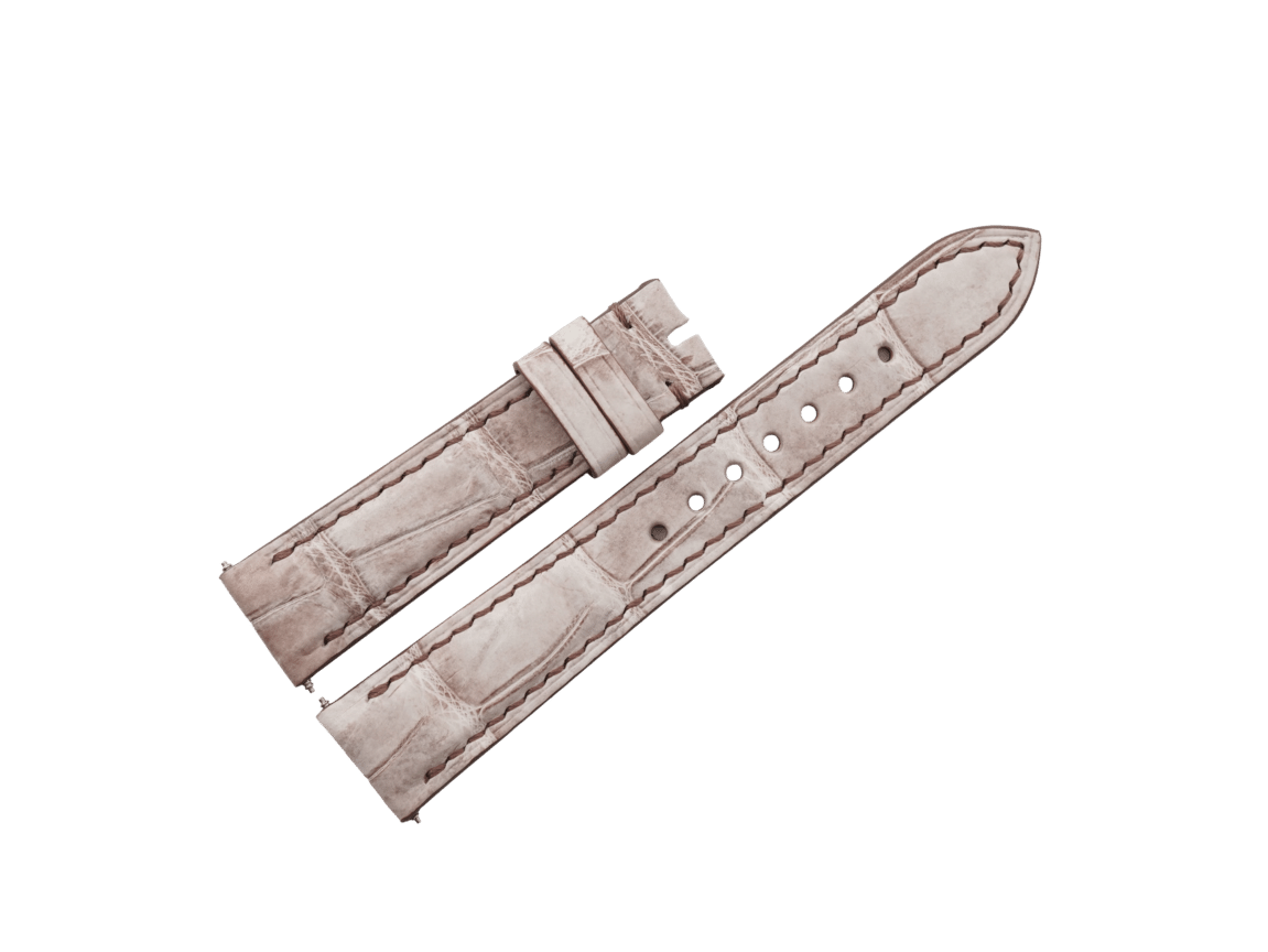 DSC03009 (FILEminimizer)